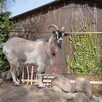 לינה וארוחת בוקר Skortskaer Bondegardsferie 2*