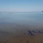 Skortskaer Bondegardsferie לינה וארוחת בוקר Havnsø