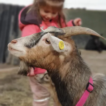 Skortskaer Bondegardsferie Havnsø