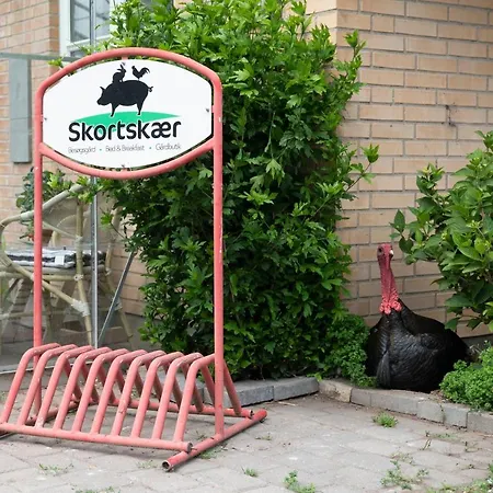 Skortskaer Bondegardsferie