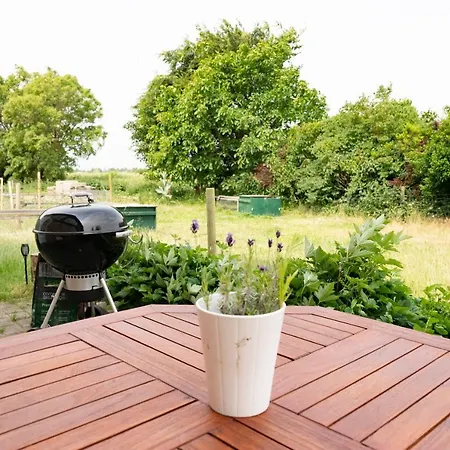 Bed & Breakfast Skortskaer Bondegardsferie 2*