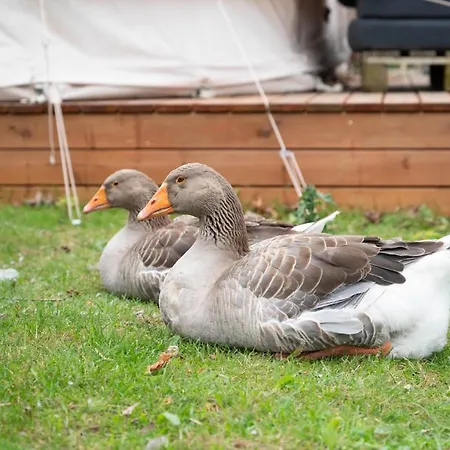 Skortskaer Bondegardsferie Bed & Breakfast Havnsø