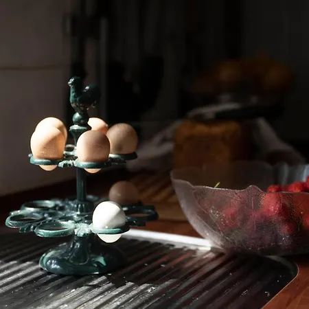 Oda ve Kahvaltı Skortskaer Bondegardsferie