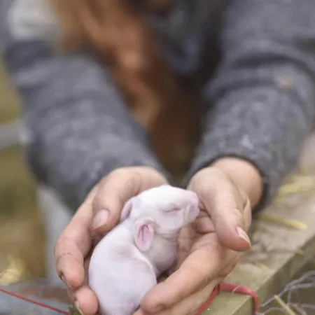 Skortskaer Bondegardsferie Bed & Breakfast 2*