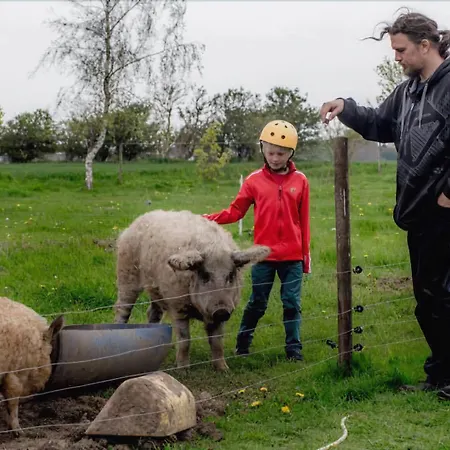 Bed & Breakfast Skortskaer Bondegardsferie