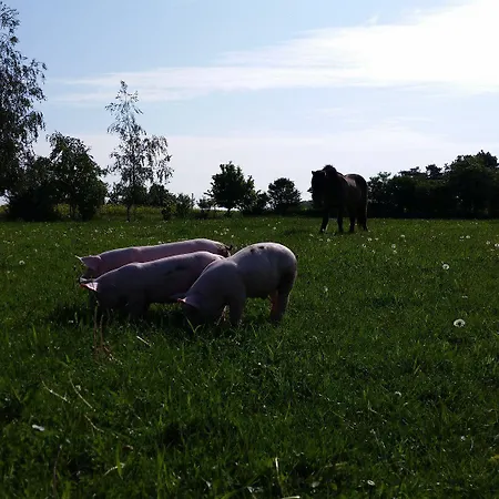 Skortskaer Bondegardsferie Bed & Breakfast Havnsø