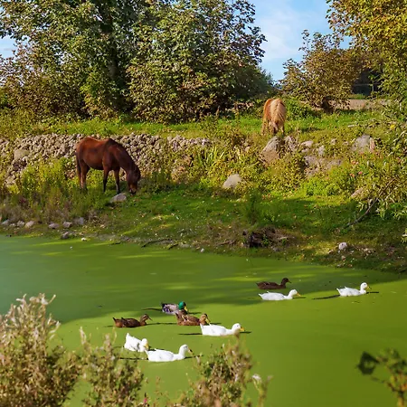 Skortskaer Bondegardsferie