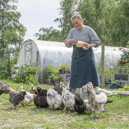 Skortskaer Bondegardsferie Bed & Breakfast Havnsø