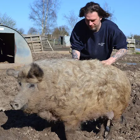 Skortskaer Bondegardsferie Bed & Breakfast