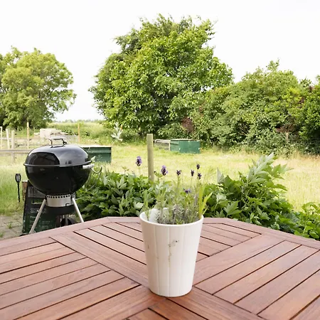 Skortskaer Bondegardsferie Bed & Breakfast