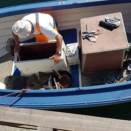 Skortskaer Bondegardsferie Bed & Breakfast