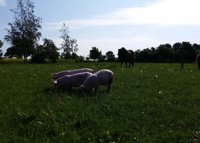 Skortskaer Bondegardsferie Panzió Havnsø